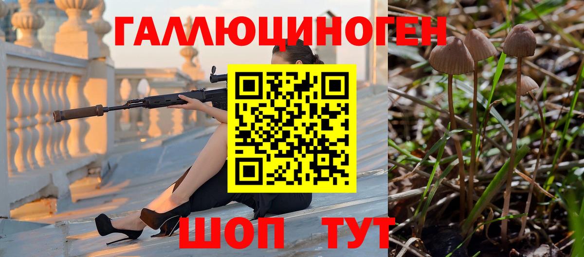 Галлюциногенные грибы GOLDEN TEACHER  Вход с VPN  Полевской 